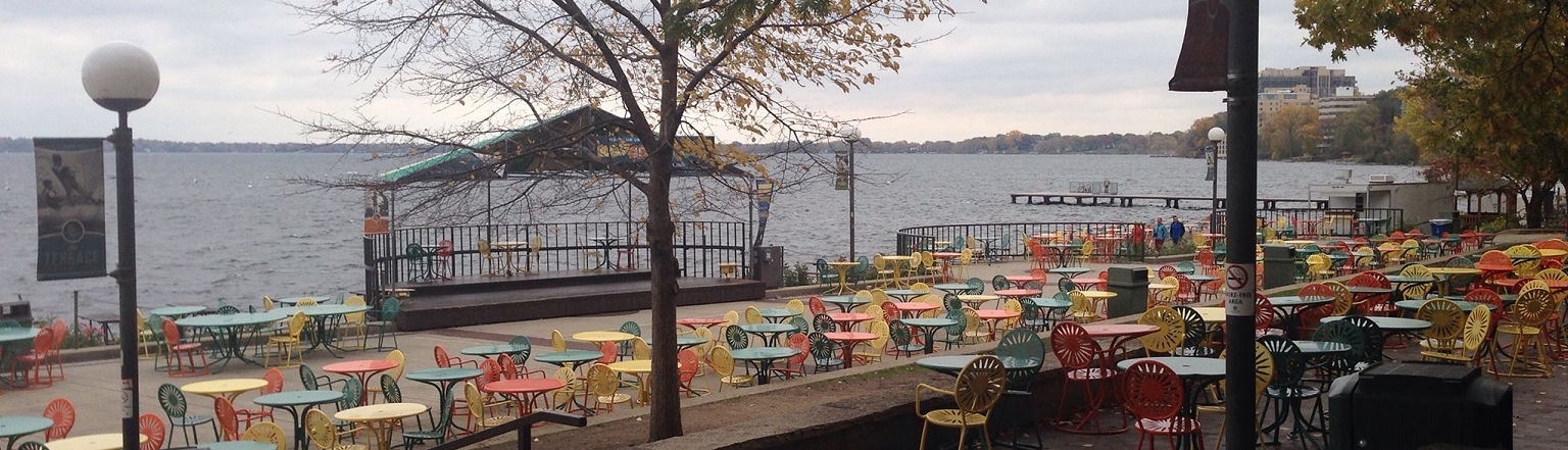Reza Ghodssi in field of yellow flowers
